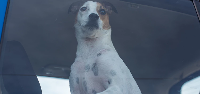 Car Lockout Solutions in Loomis, California